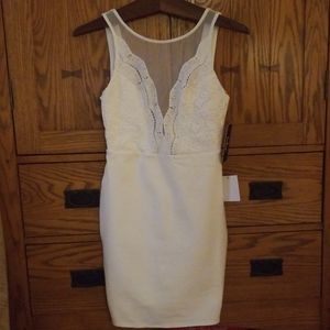 NWT Coquina White Lace Bodycon Dress